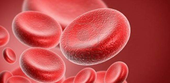 Vérszegénység - típusai, okai, tünetei és kezelése