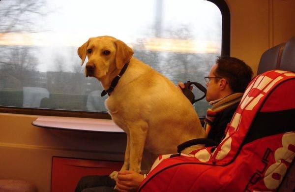 Állatok vasúti szállítása