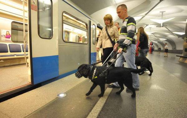 Vezető kutyák a metrón