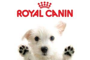 Royal Canin kutyaeledel (Royal Canin)